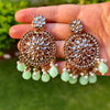 Radiant Flora Kundan Earrings