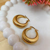 Aurora Twist Hoops
